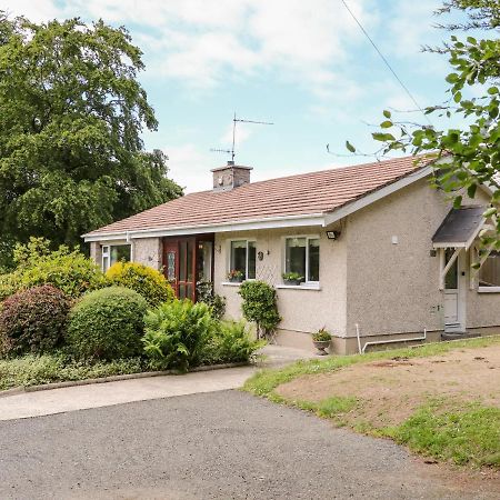Glebe Farm Cottage Newry Buitenkant foto